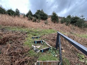 Photo 35- click for photo gallery